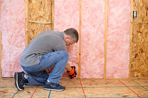 Best Professional Insulation Contractor  in Stockton, UT